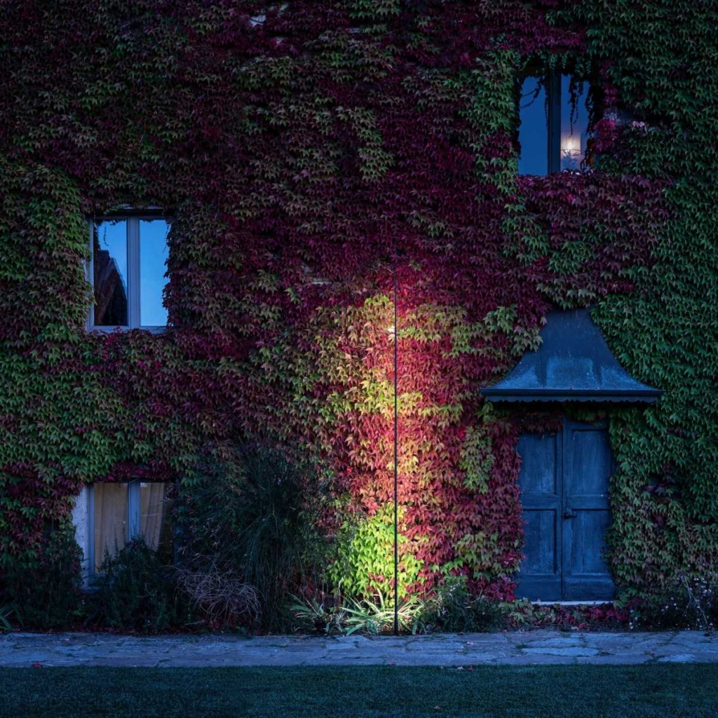 Lampada da terra per esterno che illumina una parete con rampicanti.